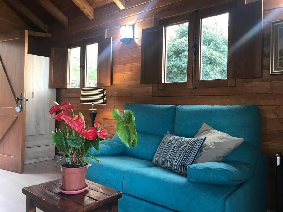 Cozy Mountain Chalet La Orotava Ngoại thất bức ảnh